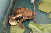 幼稚園に珍しいお客様が・・・