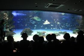 秋の遠足　サンシャイン水族館に行きました。