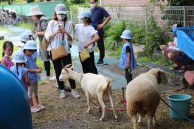 ふれあい動物園のご案内