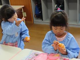 はじめてのみかんむきキャンペーン