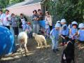 ふれあい動物園を実施しました。
