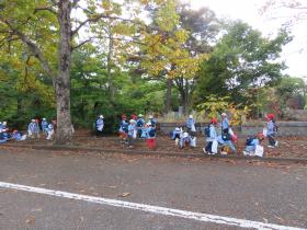 多磨墓地のどんぐり拾い