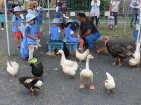 ９月16日（水）ふれあい動物園のご案内　