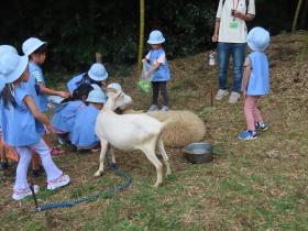 ９月16日（水）ふれあい動物園のご案内　