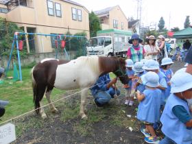９月16日（水）ふれあい動物園のご案内　